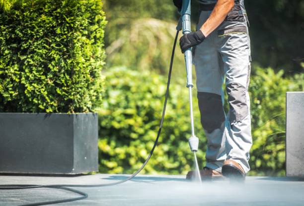Best Solar Panel Cleaning  in Keyes, CA