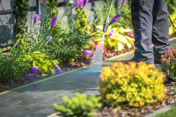 Professional Pressure Washing Services in Keyes, CA